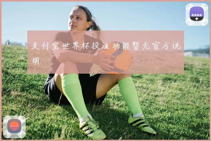 支付宝世界杯投注功能暂无官方说明