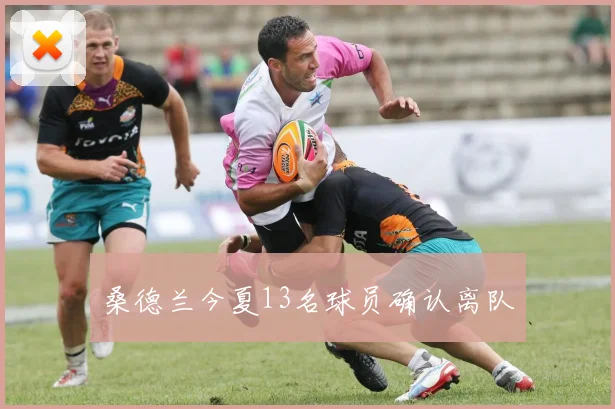 桑德兰今夏13名球员确认离队